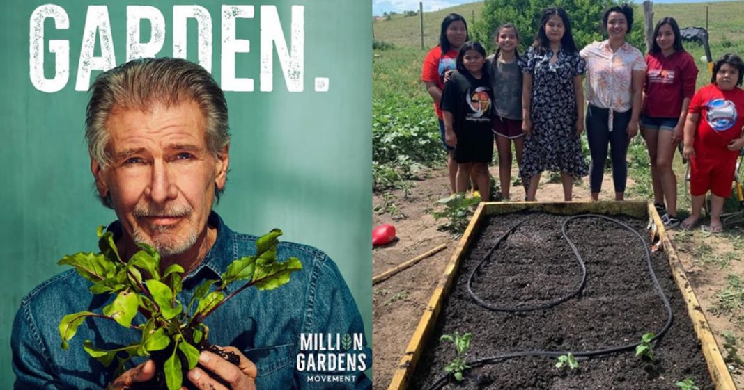 Movimento “Milhões de Jardins” leva horta para quem tem fome.