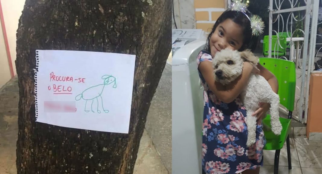 Para achar seu cão perdido, criança faz cartazes desenhado à mão e dá certo!