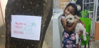 Para achar seu cão perdido, criança faz cartazes desenhado à mão e dá certo!