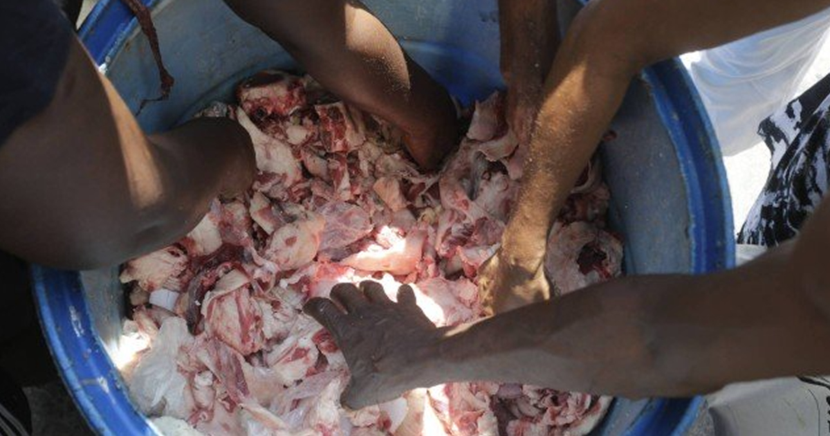 homemnapratica.com - FOME: Sem comida, cariocas recorrem a restos de ossos e carnes rejeitados pelos supermercados