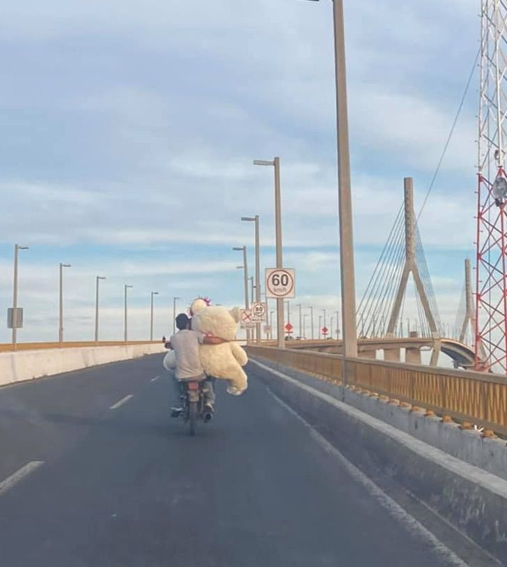 homemnapratica.com - Pai atravessa a cidade carregando um urso gigante em uma moto só para ver a filha feliz!