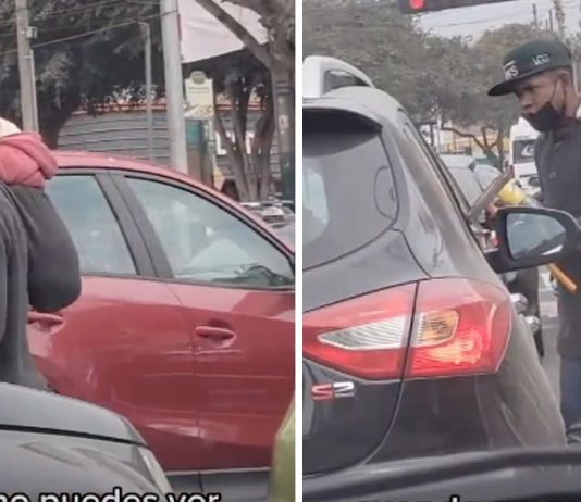 homem-carrega-cachorrinho-nas-costas-enquanto-trabalha-para-nao-deixa-lo-sozinho-em-casa