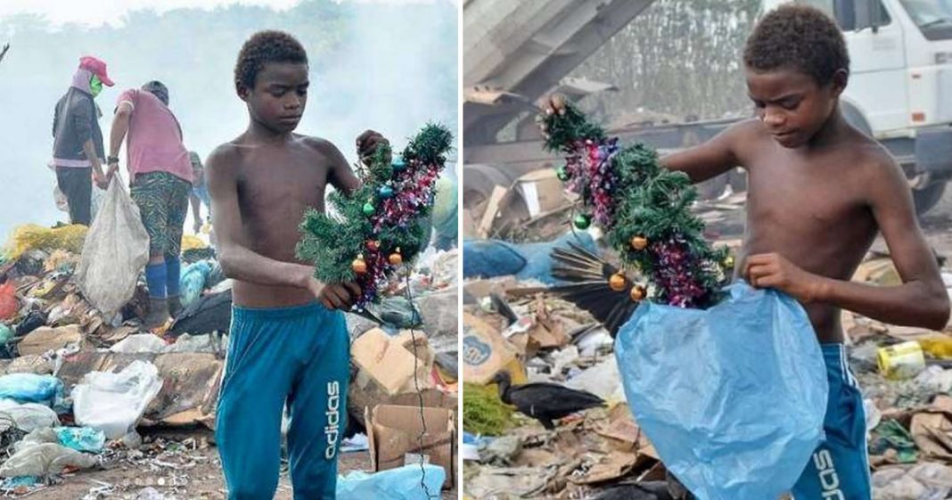 Garoto que achou uma árvore de Natal no lixão ganha surpresa da Multilaser