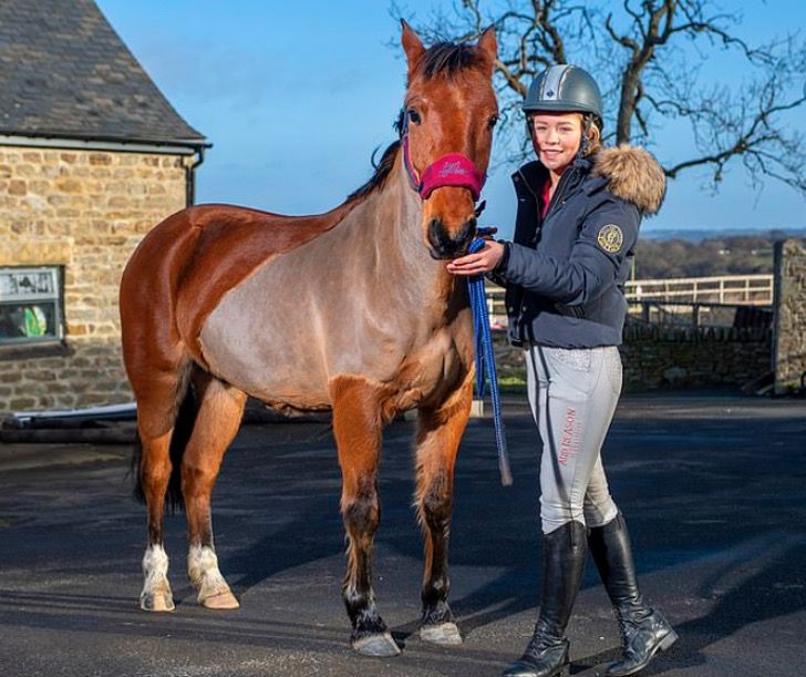 cavalo que sofreu maus tratos se tornou uma estrela dos saltos na inglaterra1 - Cavalo que sofreu maus tratos se tornou uma estrela dos saltos na Inglaterra.