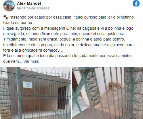 homemnapratica.com - Tutor coloca recado fofo no portão para que as pessoas devolvam a bolinha do seu cão