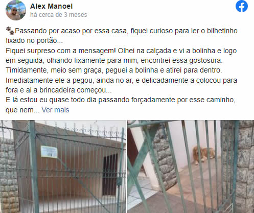 homemnapratica.com - Tutor coloca recado fofo no portão para que as pessoas devolvam a bolinha do seu cão