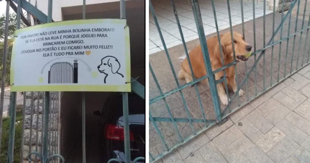 Tutor coloca recado fofo no portão para que as pessoas devolvam a bolinha do seu cão