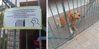 Tutor coloca recado fofo no portão para que as pessoas devolvam a bolinha do seu cão