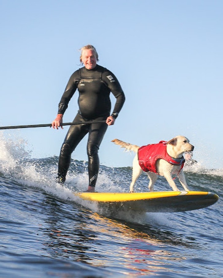 homemnapratica.com - Cão surfista conquista moradores com a sua habilidade de pegar ondas.