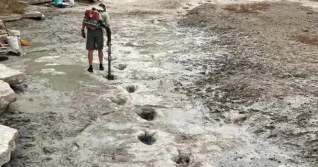 Rio seco revela pegadas de dinossauros de 113 milhões de anos