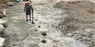 Rio seco revela pegadas de dinossauros de 113 milhões de anos