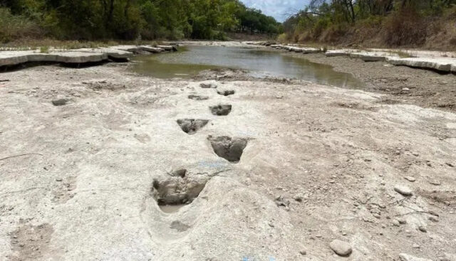 homemnapratica.com - Rio seco revela pegadas de dinossauros de 113 milhões de anos